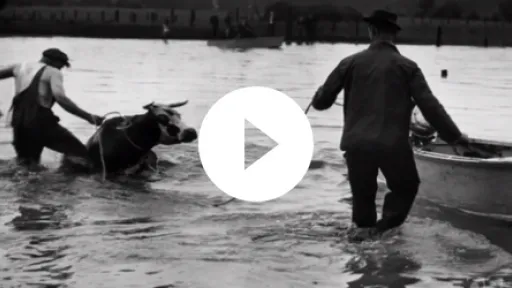 Video - Oregon Experience Vanport