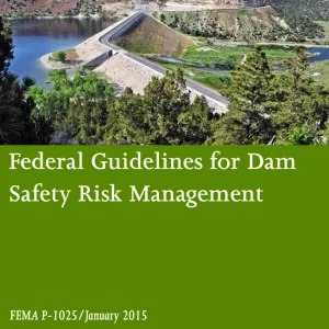 Filters for Embankment Dams