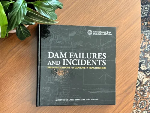 DF Book Cover