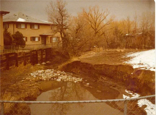 MapleGrove9